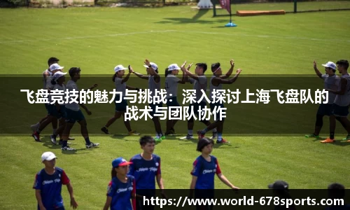 飞盘竞技的魅力与挑战：深入探讨上海飞盘队的战术与团队协作